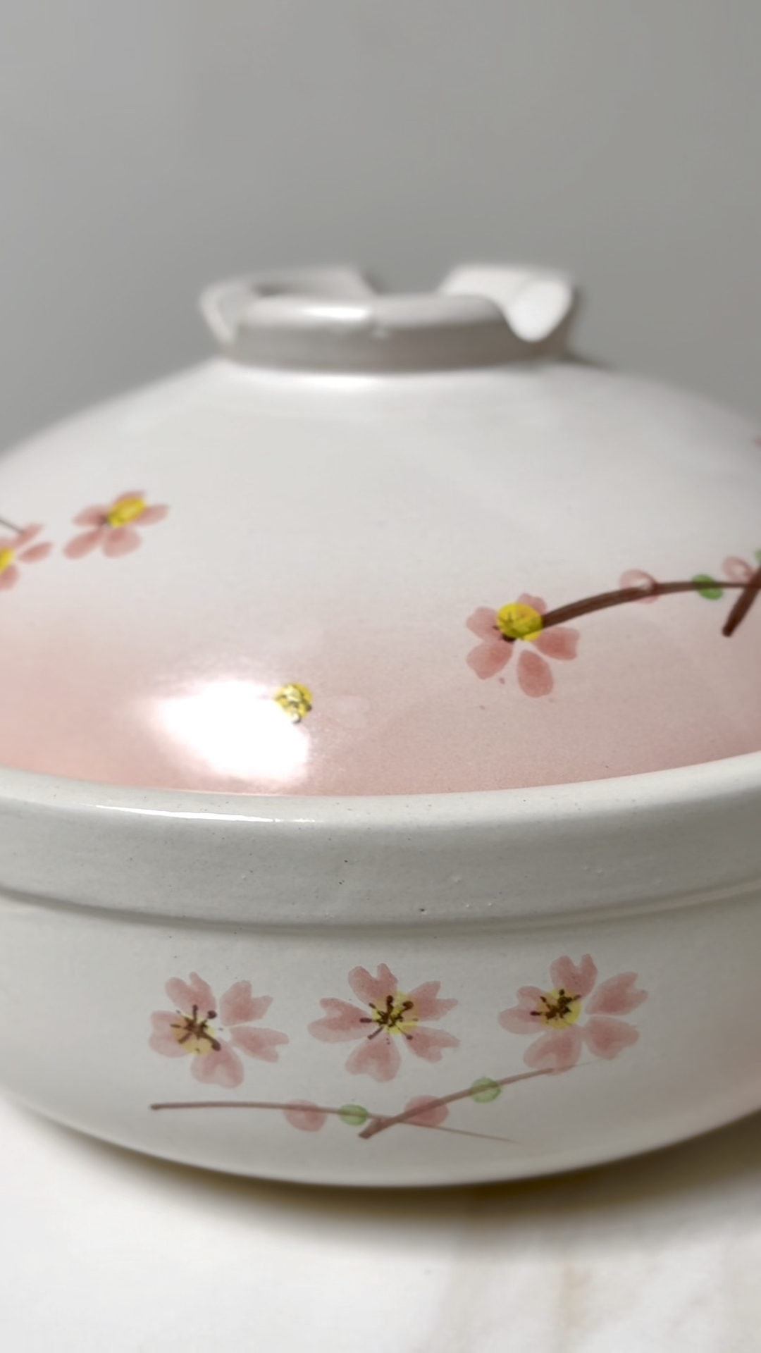 Sakura Clay Pot 🌸🍲