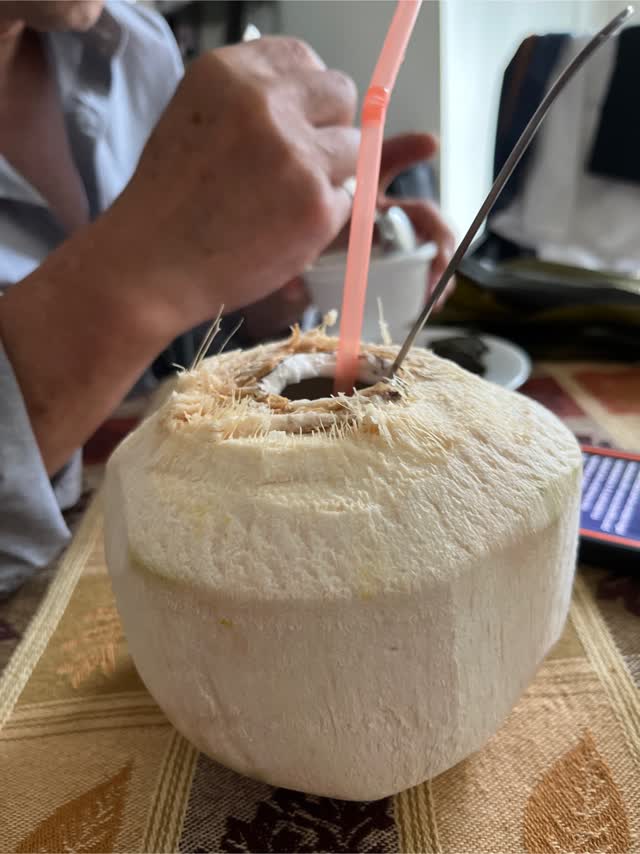 タイ ヤングココナッツ 1 ケース - Weee!