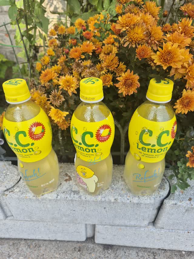 ccレモン 11月1まで soukaidrink_4901777119413