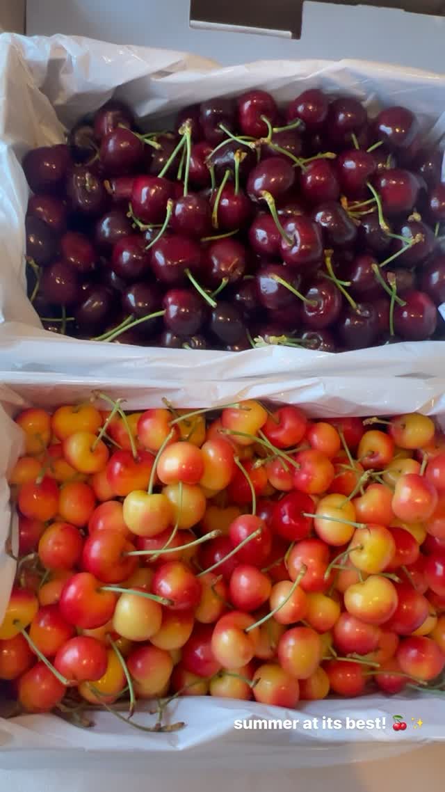 Summer at its best 🍒✨
