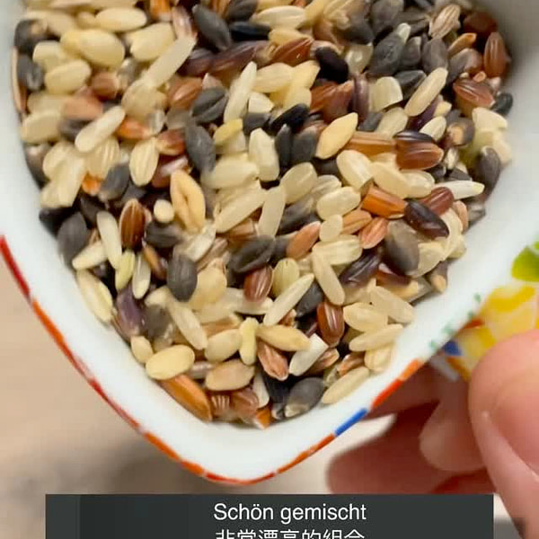 Mogami 8 Blended Whole Grain Rice 8 grain health rice