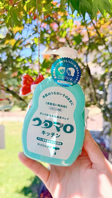 Get Toho Utamaro Kitchen Dishwashing Detergent 300 ml Delivered