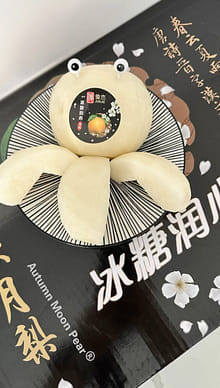 生パパイア茎 2キロ 新鮮抜群　秋　冬用に乾燥させて備蓄用　8月21日切り落とし 秋月梨 約6～10個入 8 ポンド - Weee!