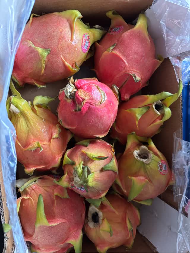 ドラゴンフルーツ 白身 1 箱 10 ポンド - Weee!