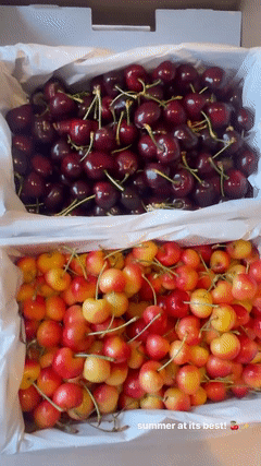 Summer at its best 🍒✨