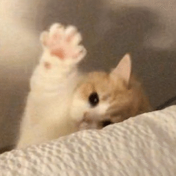 Weee!