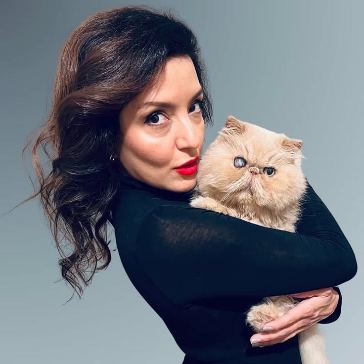 天然松茸 まつたけ マツタケ 0.5 ポンド - Weee!